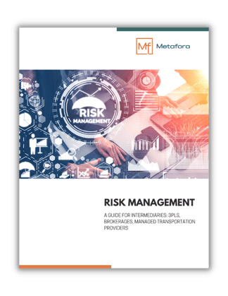 Risk Management Ebook by Metafora cover image with shadow